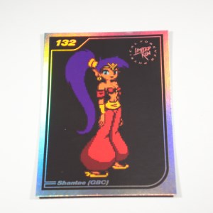 Shantae Collector's Edition (23)